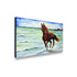 products/free-stallion-painting-13574647021633.jpg