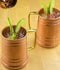 products/tankard-mule-copper-mugs-set-of-4-13575098073153.jpg