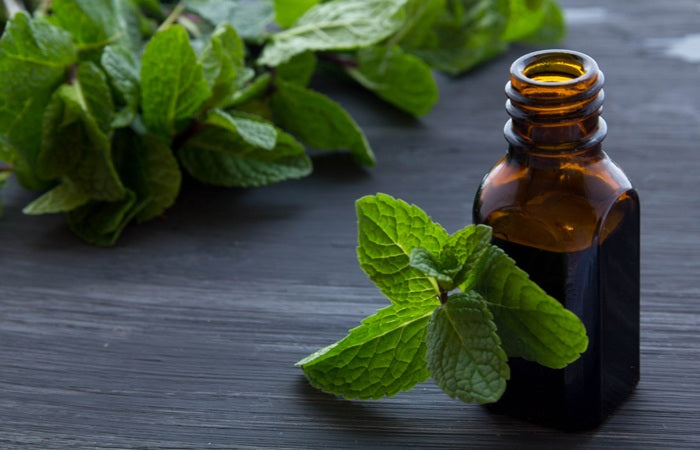 Essential Oils as Mosquito Repellant: This Season Keep the Bugs away Naturally