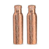 2 Hammered Copper Bottles