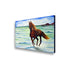 products/free-stallion-painting-13574646071361.jpg