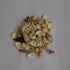products/mix-pattern-seashells-1kg-pack-13574071615553.jpg