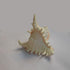products/ramose-murex-seashell-1kg-pack-13574085902401.jpg
