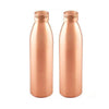 Seamless Copper Water Bottle - Set of 2