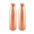 Seamless Copper Water Bottle - Set of 2 - YesNo