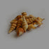 products/turrid-seashell-1kg-pack-13574061064257.jpg