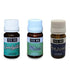 YesNo.in Essential Oil Combo Pack ( Eucalyptus + Mint + Grapevine ) - Set of 3 - YesNo